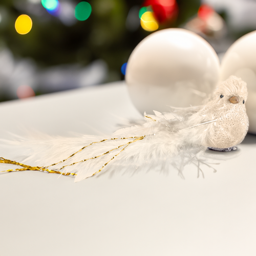 

Набор елочных украшений Homeclub Птичка хвост-клипса красный/серебро Арт. 20A-2144A1A2.D1D2 2 шт. цвет в ассортименте