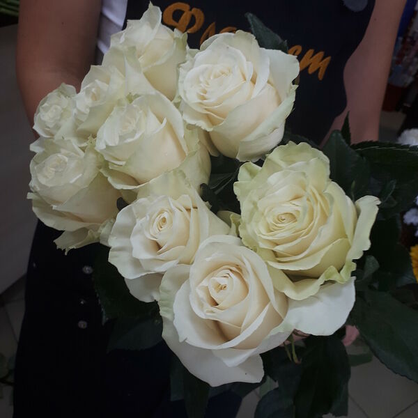 9 белых роз Мондиаль 80 см