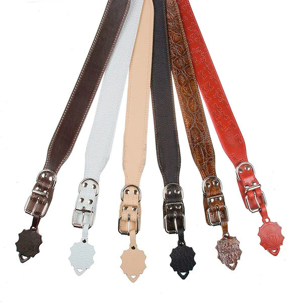 Ошейник для собак крупных пород с биркой цвета в ассортименте 70x2,5 cм