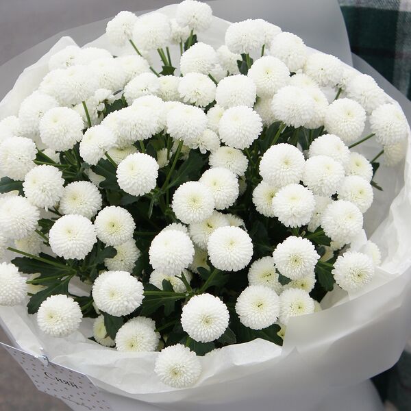 Большой букет Безе