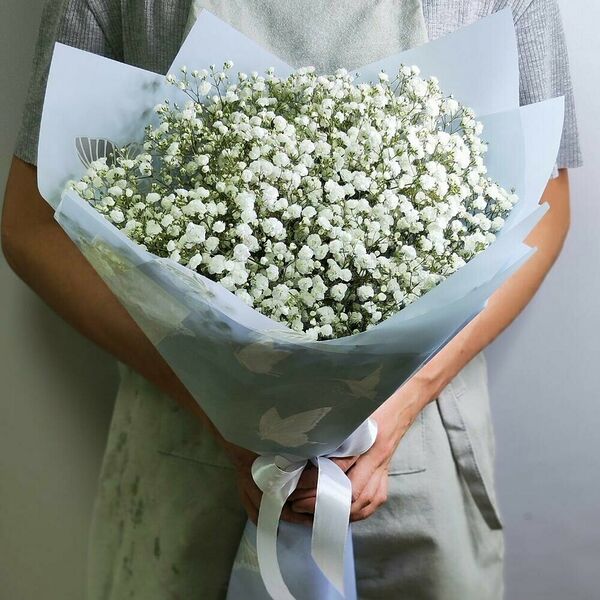 Гипсофила белая  5 шт