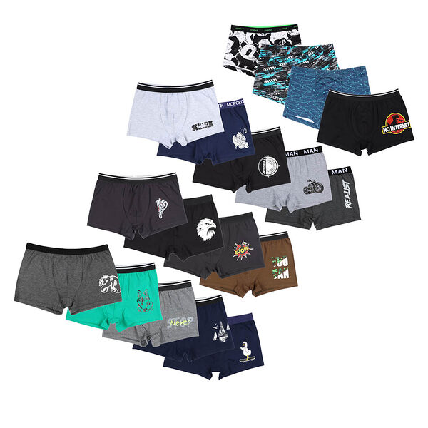 Трусы-боксеры мужские Galante, размеры 46-56, цвета в ассортименте, 1 шт.