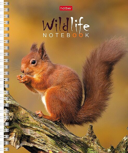 Тетрадь А5 в клетку на гребне Hatber ЗОО_мир, дизайн в ассортименте, 80 листов