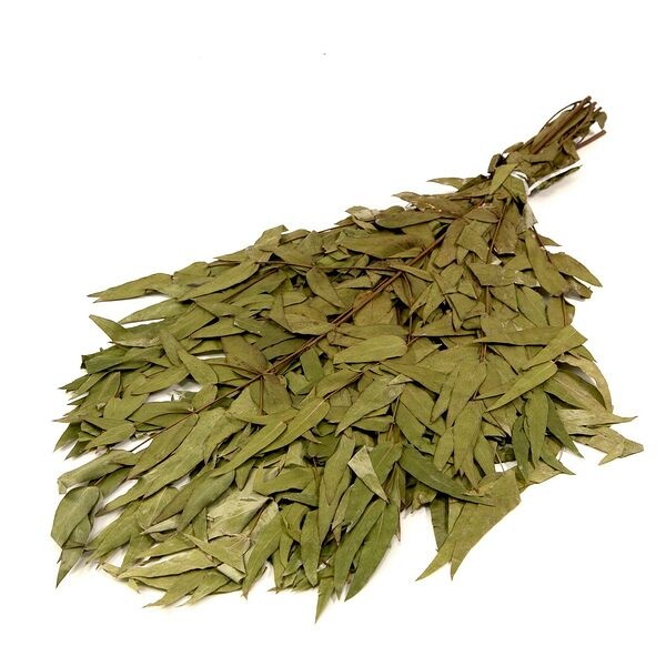 Веник для сауны Банная линия эвкалиптовый