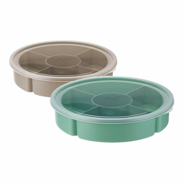 Менажница Idea с крышкой 5 секции 25x5 см цвет в ассортименте