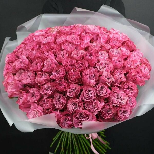 Я тебя обожаю