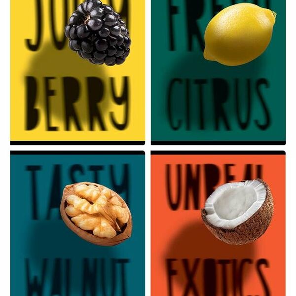 Тетрадь BG Exotic fruit клетка А5, 48 л в ассортименте 1 шт