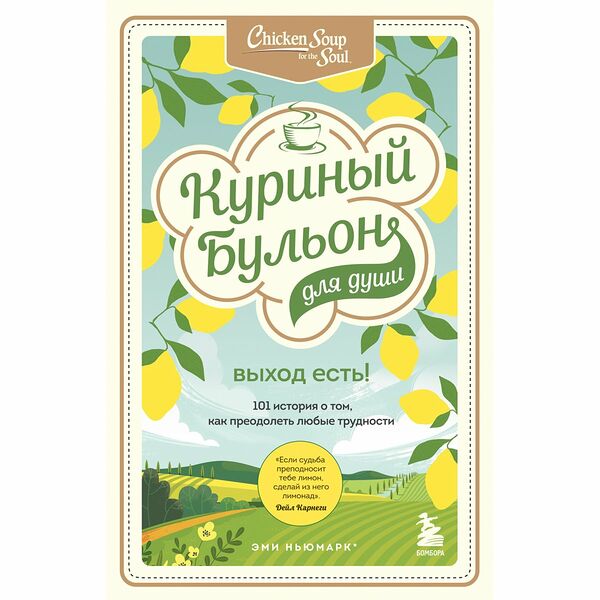 Книга Куриный бульон для души. Выход есть!