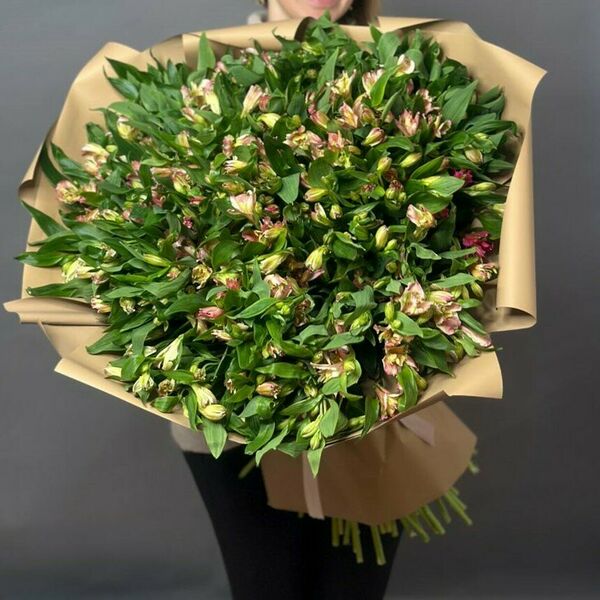 Альстромерия 70 см 101 шт