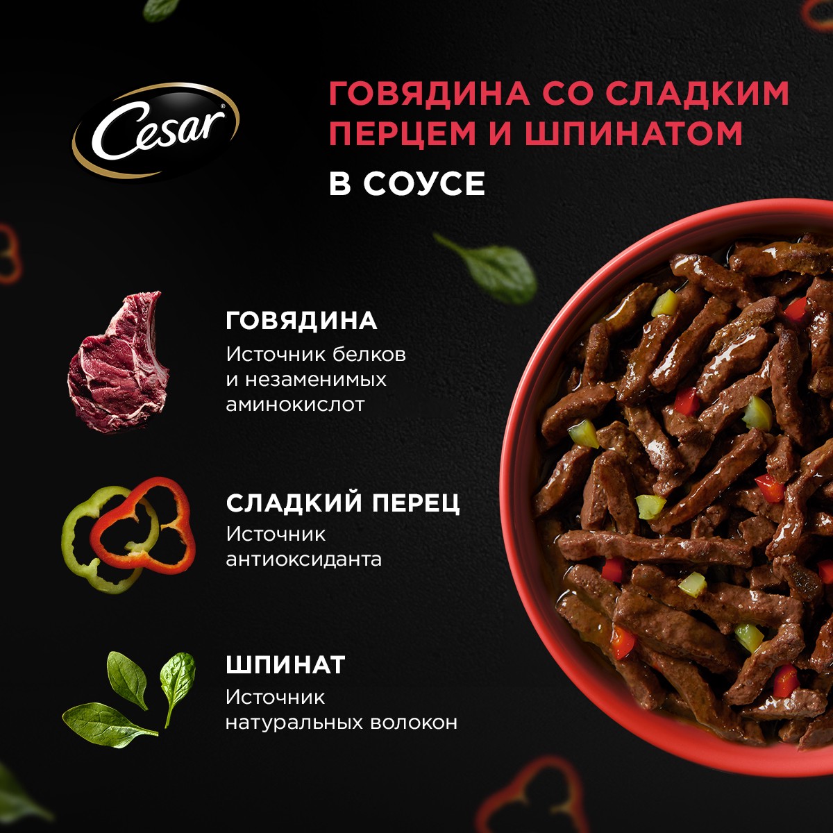 

Влажный корм Cesar Natural Goodness для собак, с говядиной, паприкой, шпинатом в соусе 80 г