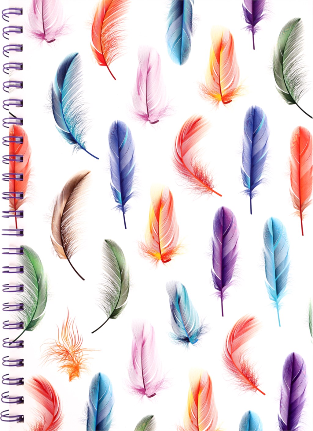 

Тетрадь Dream Catcher А4 80 листов в клетку на спирали