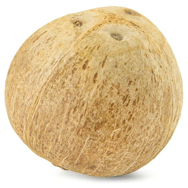 Кокос питьевой 1шт