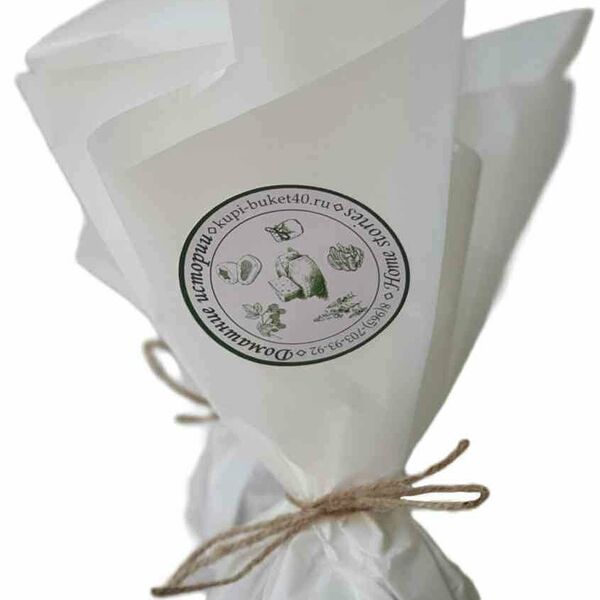 Сыр Белпер Кнолле Домашние истории 50%