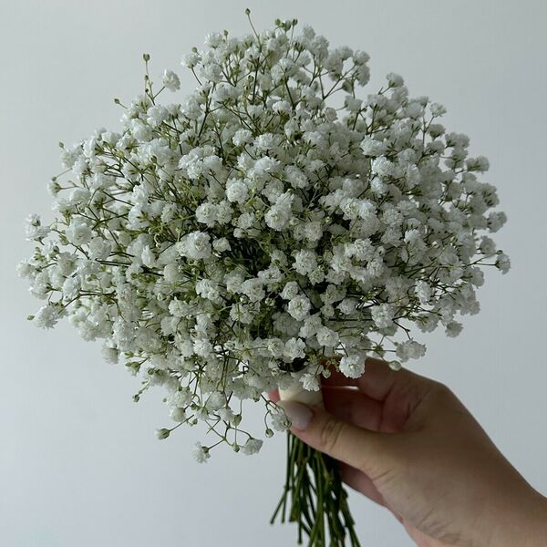 Букет невесты из гипсофилы