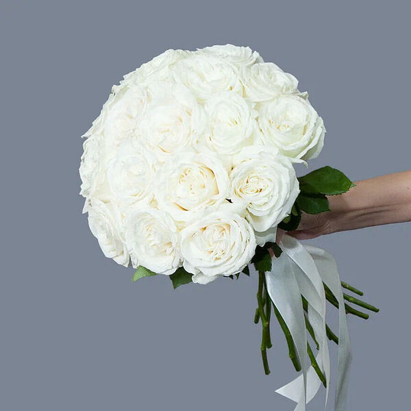 Монобукет 17 Роз Playa Blanka под ленту Ирис