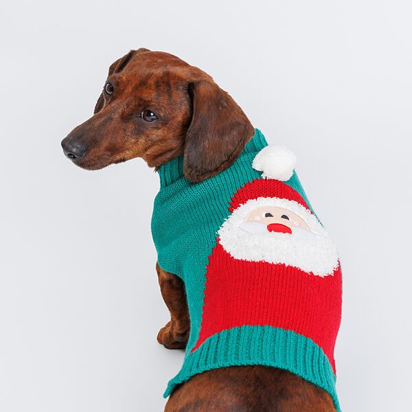 Свитер для собак Дед Мороз, L, зеленый