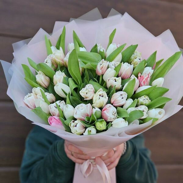 51 нежный тюльпан