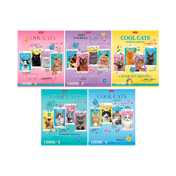 Тетрадь Классные коты 48л А5ф клетка 65г/кв.м на скобе скругл углы 48Т5В1