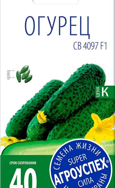 Семена Агроуспех Огурец СВ 4097 F1 6шт