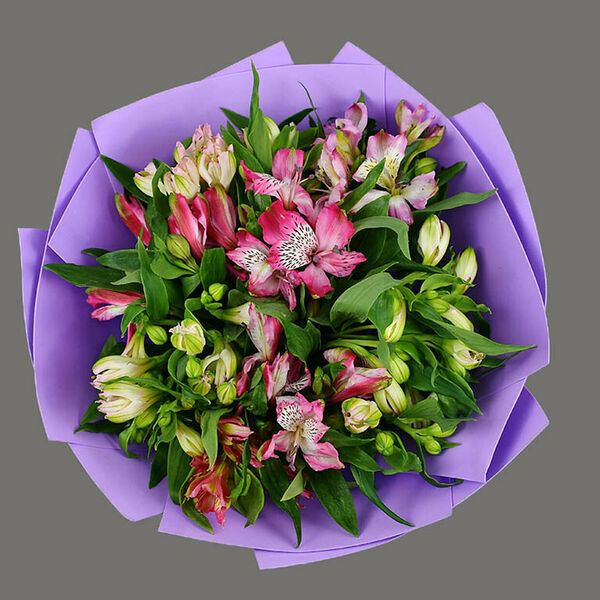 Букет 11 альстромерии микс в упаковке
