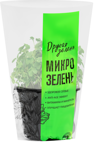 

Микрозелень Руккола
