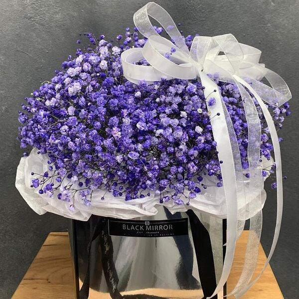 Стильная Гипсофила