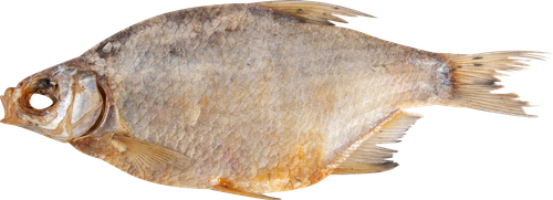 

Густера вяленая вес