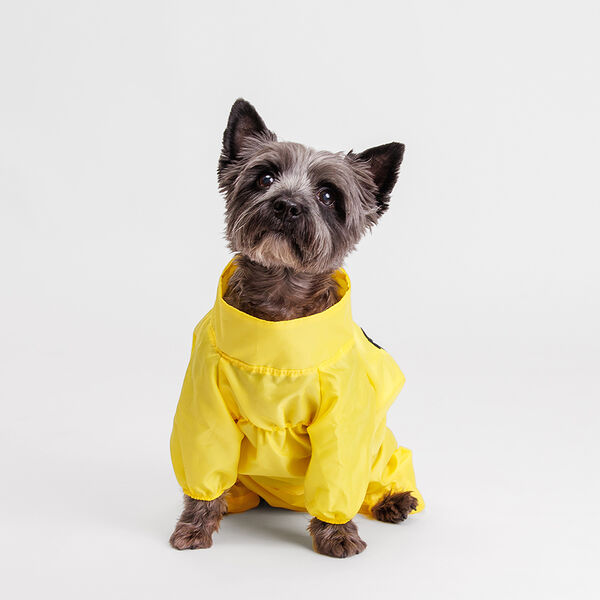Дождевик для собак, 2XL, желтый (девочка)