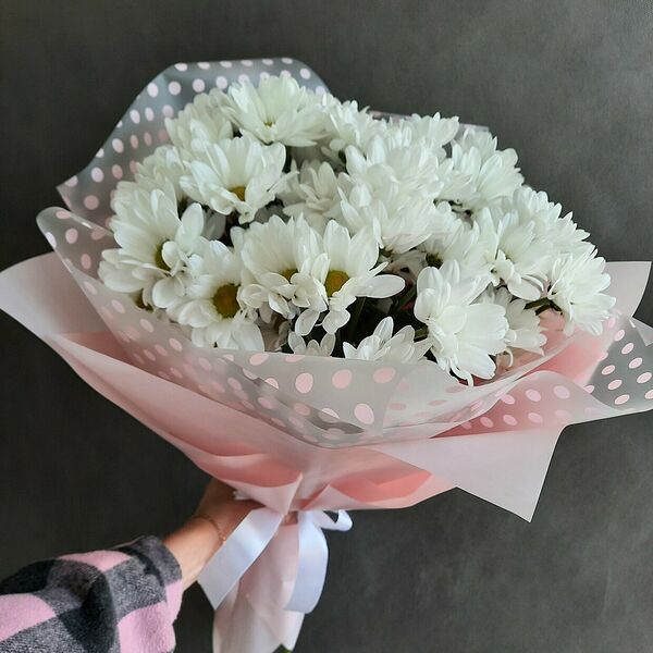 Ромашковое поле