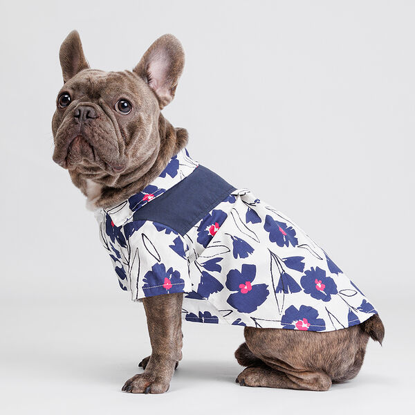 Футболка Petmax с синими цветами 2XL