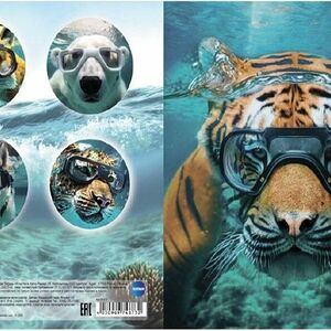 Тетрадь Centrum в клетку А5 48л в ассортименте 1шт.