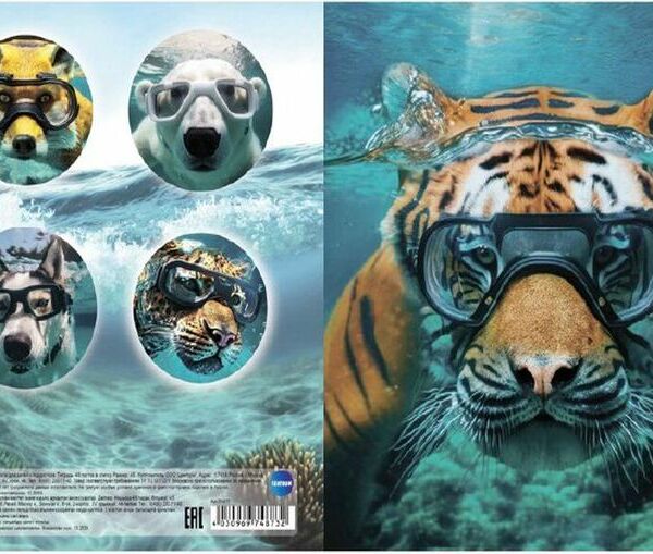 Тетрадь Centrum в клетку А5 48л в ассортименте 1шт.