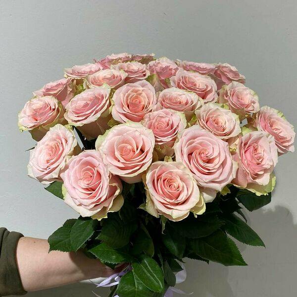 25 розовых роз Эквадор