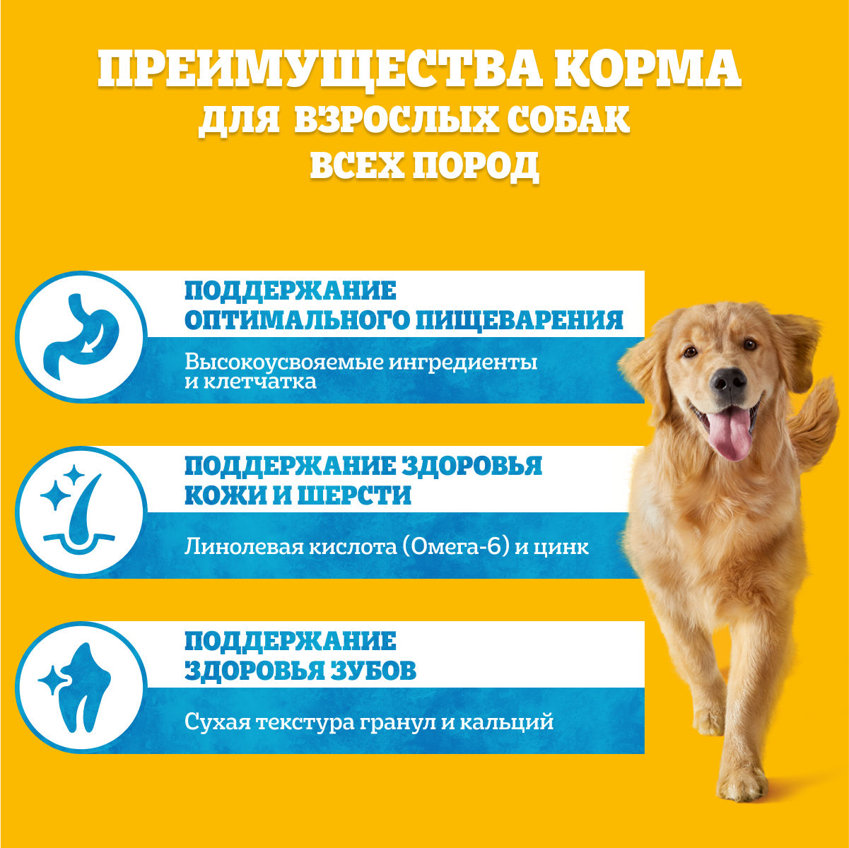

Сухой корм для собак Pedigree полнорационный с говядиной 600 г