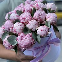 Изображение 3