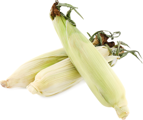 

Кукуруза свежая фасованная весовая