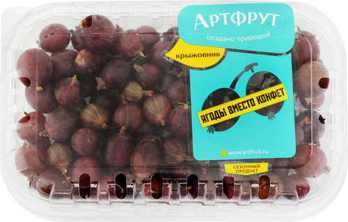 

Крыжовник красный АРТФРУТ, 250г