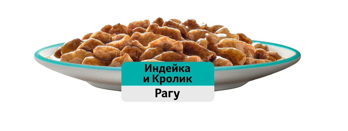 

Влажный корм Whiskas для кошек рагу с индейкой и кроликом 75 г