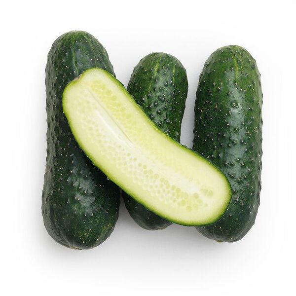 Огурцы короткоплодные вес