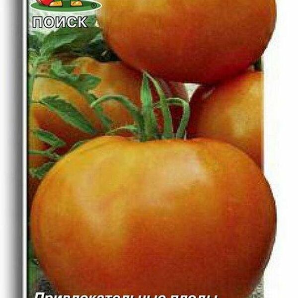 Семена Поиск Томат Хурма В19 0.1 г