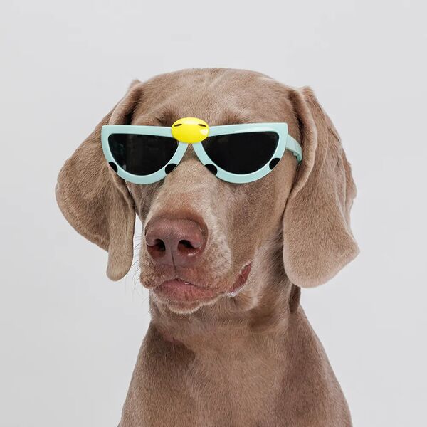 Очки Rurri синие раскладные