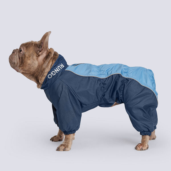 Комбинезон для собак Rungo теплый для французского бульдога синий (мальчик), размер 2XL