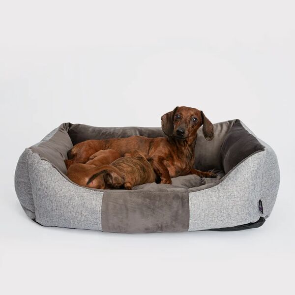 Лежак Rurri со съемным чехлом 70х55х18см