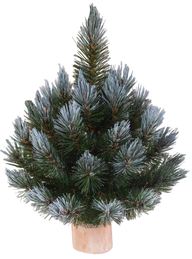 

Ель Triumph Tree Женева 30 см