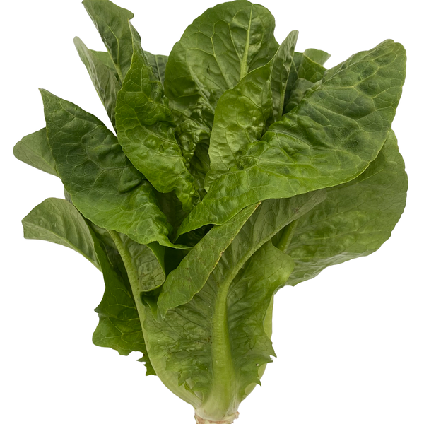 Салат Superfood Farm Романо мини, 140 г