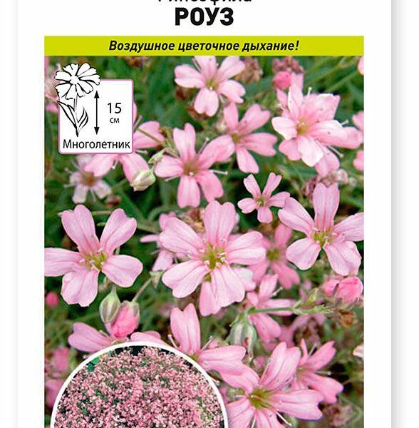 Семена «Русский Огород» Гипсофила Роуз, 0,1 г