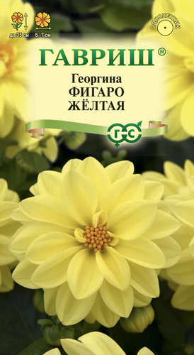 

Семена ГАВРИШ Георгина Фигаро, желтая, Арт. 1071857503, 7шт