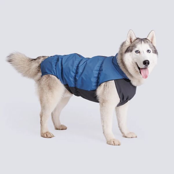 Жилетка Rungo мембрана с подкладкой мальчик спина 60 грудь 80 голубой океан