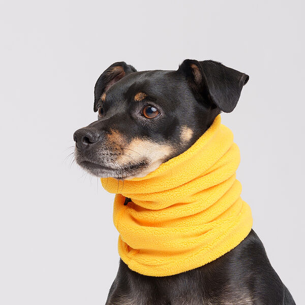 Снуд для животных Rurri желтый S