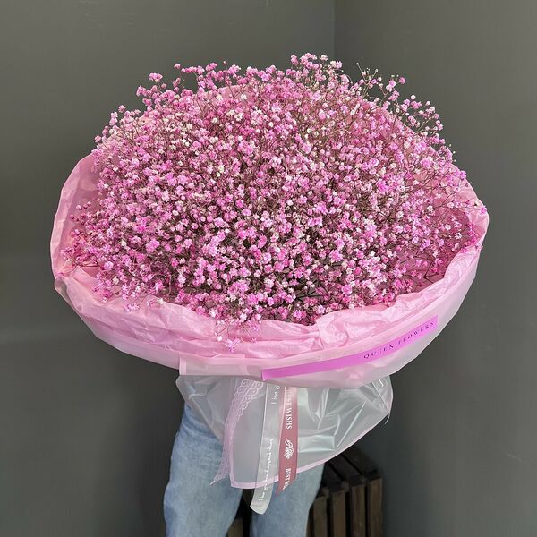 Гипсофила розовая